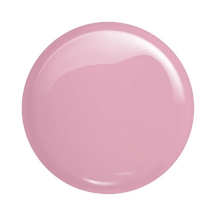 Victoria Vynn Master Gel 04 Soft Pink 60g 2