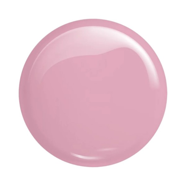 Victoria Vynn Master Gel 04 Soft Pink 60g