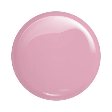 Victoria Vynn Master Gel 04 Soft Pink 60g