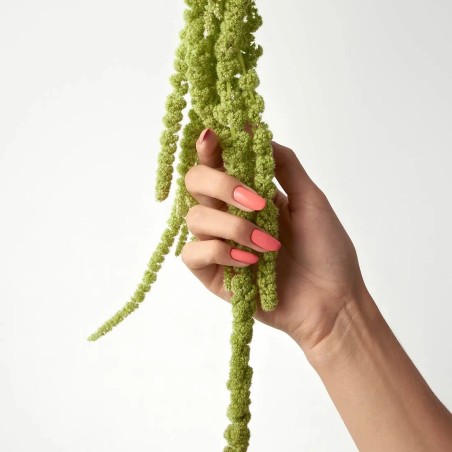 Kinetics SHIELD Gel Polish Bloom 642, 15ml