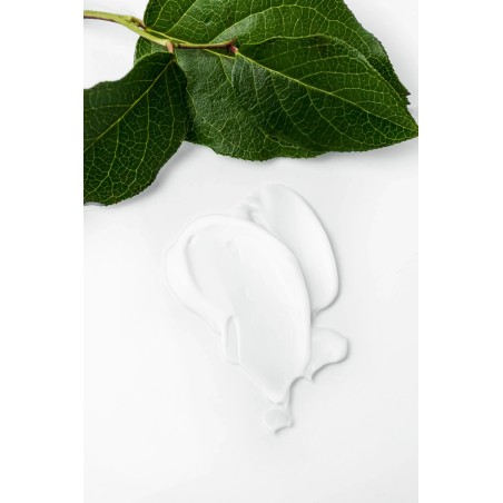 Loción Perfumada Green Tea & Lemon | Fragancia Cítrica y Floral