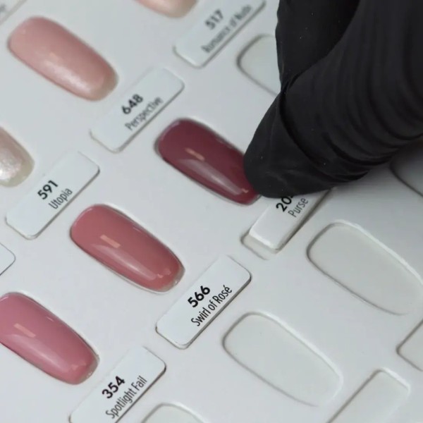 Color Book 100 Colores | Organiza y Personaliza tu Paleta de Kinetics