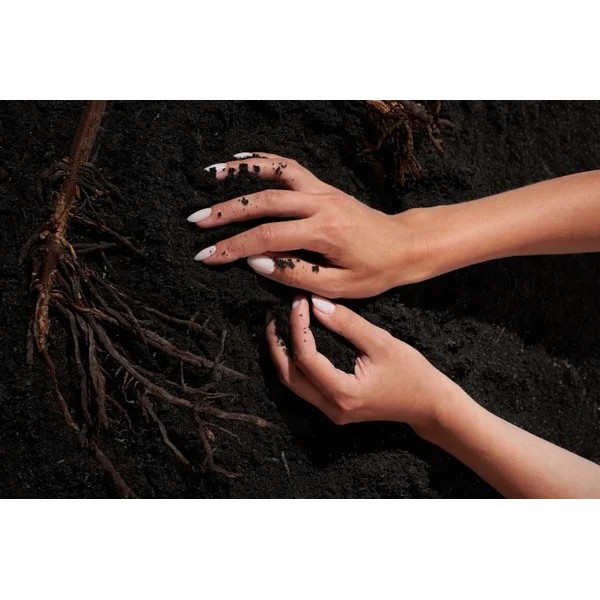 BioBased Base Coat | Base Ecológica y Duradera sin HEMA