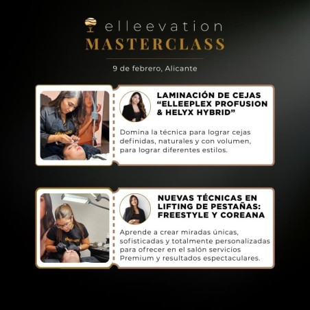 Elleevation Masterclass Alicante | Formación Elleebana