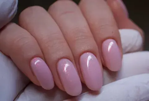 kinetics fusion 2025 670 opal