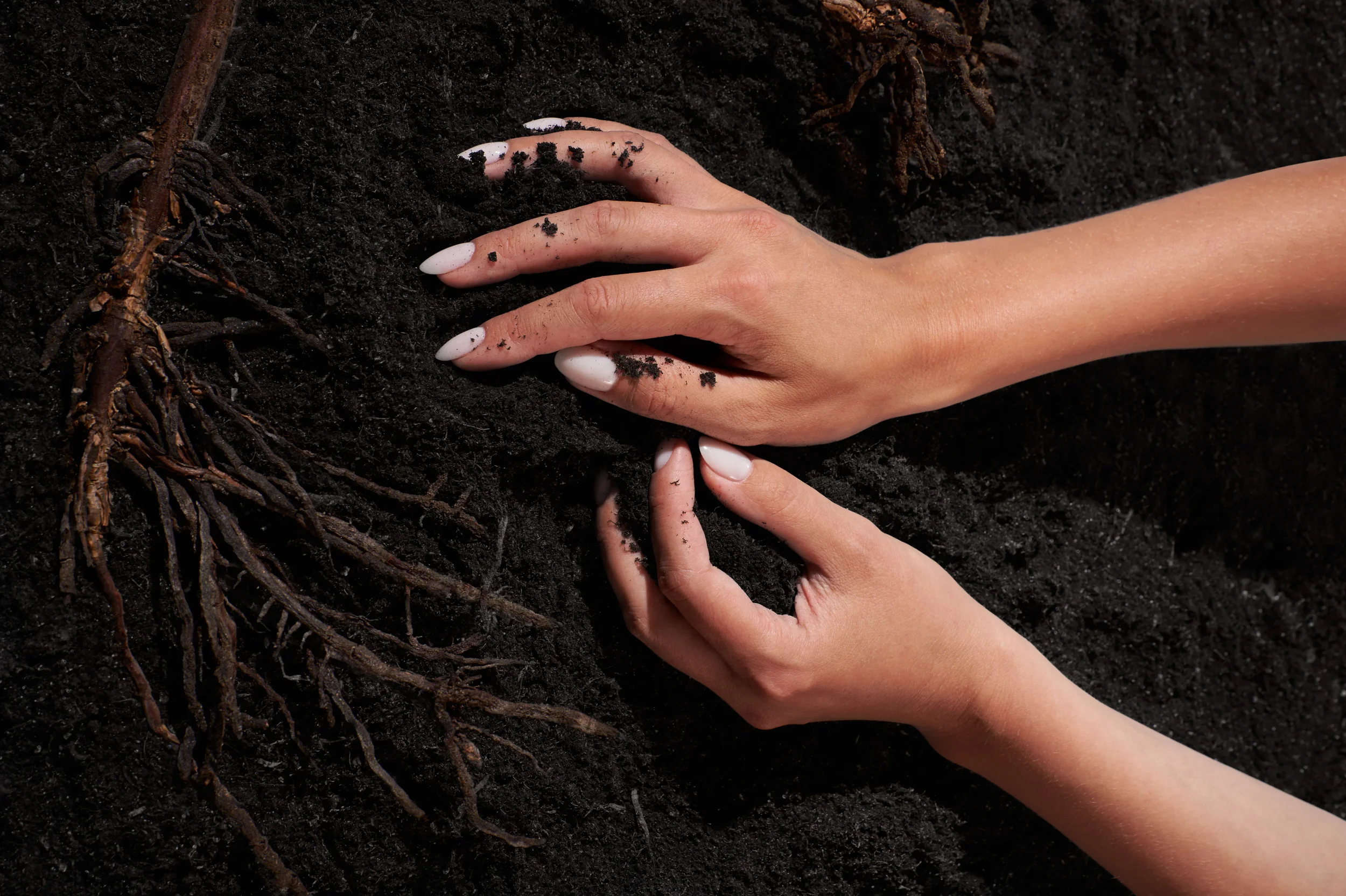 kinetics marca biobased